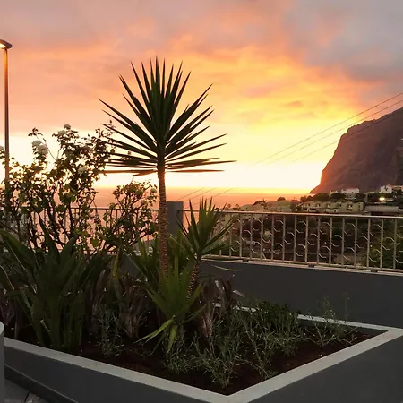 Apartment Oasis -