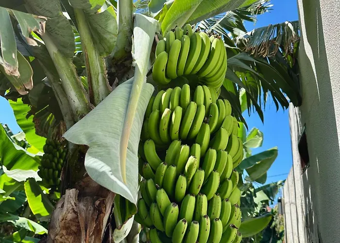 Apartamento Oásis -